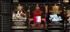사용자가 신뢰하는 카지노 사이트 목록
